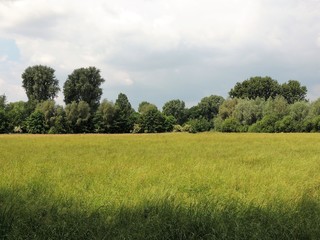 Niederrheinisches Auenland