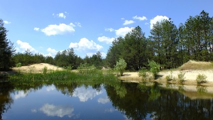 Lake in forest. Dunes & pines