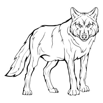 Vector sketch of a wolf. Business sign logotype wolf face. Sketch of a tattoo wolf. Forest predatory beast dangerous wolf