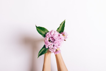 Small bouquet of pink carnations in female hands on a white background