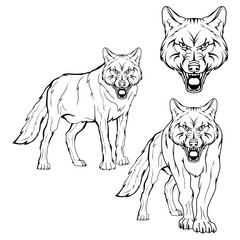 Wolf set. Vector sketch of a wolf. Business sign logotype wolf face. Sketch of a tattoo wolf. Forest predatory beast dangerous wolf