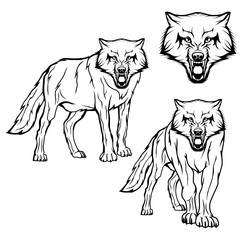 Fototapeta premium Wolf set. Vector sketch of a wolf. Business sign logotype wolf face. Sketch of a tattoo wolf. Forest predatory beast dangerous wolf