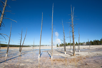 Lower geyser basin