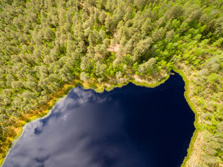 drone image. aerial view of rural area with lake in forest