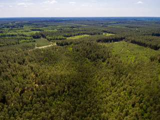 Obraz premium drone image. aerial view of rural area with lake in forest
