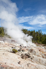 Geyser