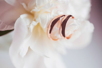 Gold wedding rings close-up on petals of a white peony.