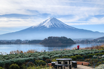A Tourist take photos of Mountain fuji and Kawaguchiko lake at Oishi park, Japan