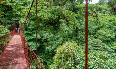 Bridge in Rainforest of Monteverde