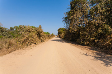 Fototapeta na wymiar Brazilian dirt road in perspective