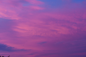 Violet sky