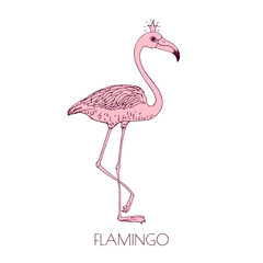 Handdrawn pink flamingo t-shirt design