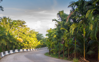 Fototapeta premium Asphalt road turns in jungles