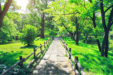 Alley in green park at sunny summer day. Picturesque nature. The footpath through the beautiful forest.