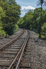 Rails in the forest