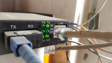 network cables plugged into the switch sockets ,for networking,IT ,communication themes