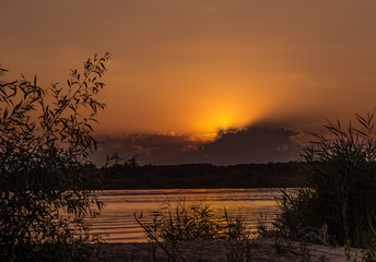 cherry berry summer bokeh leaves the sun sunset wave river reeds clouds trees sand beach evening