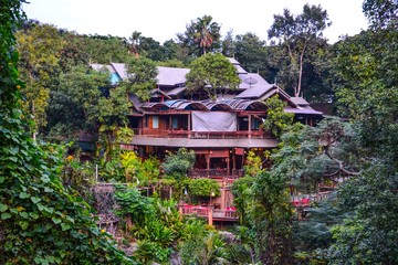 The house in the rainforest
