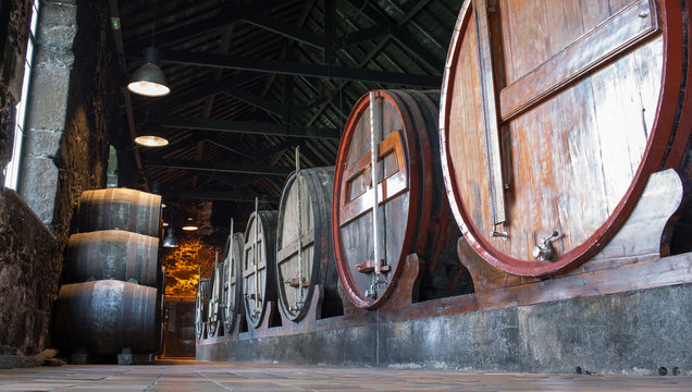 Cantina vini
