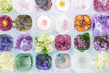 Tray with Frozen Flowers in Ice Cubes