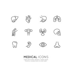 Vector Icon Style Illustration of Medical Health Services
