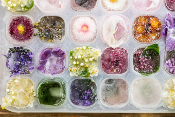Tray with Frozen Flowers in Ice Cubes