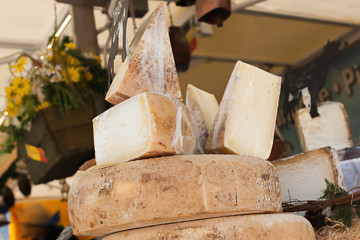 Cheeses and cut pieces in bulk on the counter of a market.