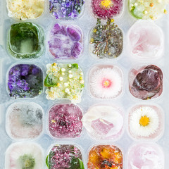 Tray with Frozen Flowers in Ice Cubes