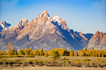 Grand Teton National Park