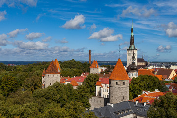 Fototapeta premium Aerial view of Tallinn old town in a beautiful summer day, Estonia. Deep green mood with red towers.