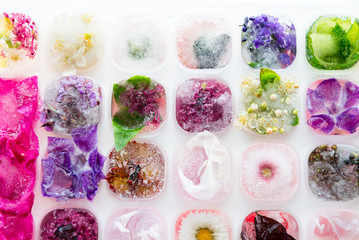 Tray with Frozen Flowers in Ice Cubes