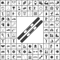 Skis icon