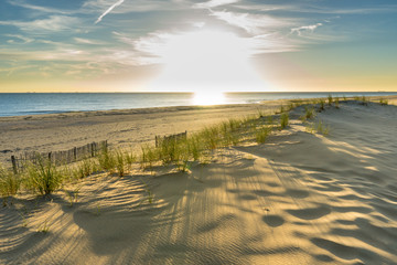 Fototapeta premium Patterns in the sand