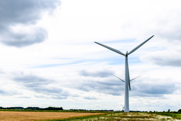 Fototapeta premium Day view wind power turbines generate electricity