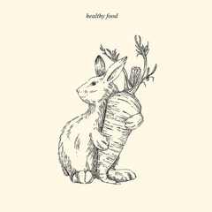 Healthy food. Hare with carrots. Vintage style. Vector illustration