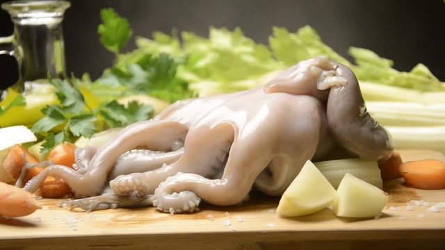 Octopus vulgaris Bạch tuộc th&ocirc;ng thường Ośmiornica zwyczajna Polpo Gew&ouml;hnlicher Krake Video Pulpo Pieuvre Chobotnice pobřežn&iacute; Осьминог обыкновенный 