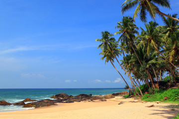 tropikalna plaża