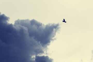 Overcast and Dark sky clouds background