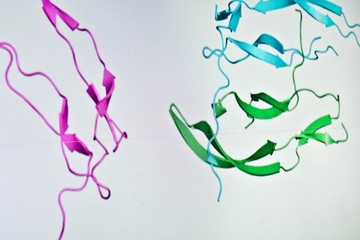 Research in the proteomics.