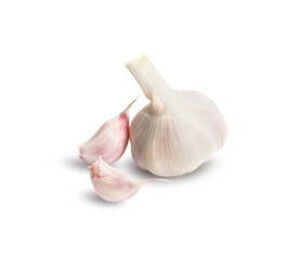 Garlic. Group isolated on white background.