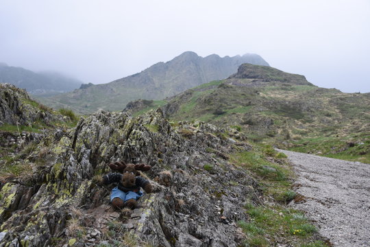 Elch, Stofftier, bersteigen, sportlich, Tier, Stoffelch, Geweih, Pl&ouml;ckenpass, Timau, Paluzza, Malga Pramosio, Hochplateau, Wanderweg, Alm, Berg