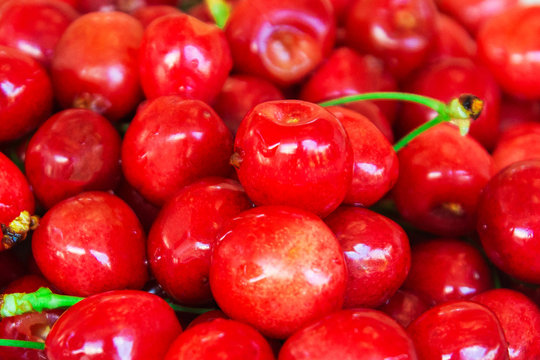 Red cherries, with water droplets.Close-up of red cherries. Background of red berries or fruits