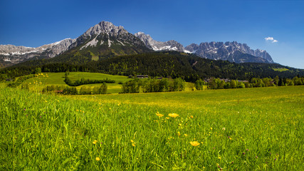 Fototapeta na wymiar Wilder Kaiser in Tirol