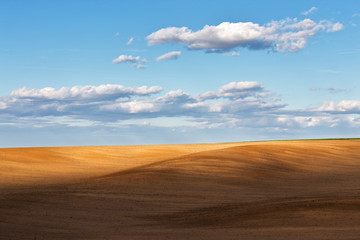 Fototapeta na wymiar Arable field under a blue cloudy sky