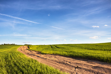 Fototapeta na wymiar Dirt rural road in a green wheat field