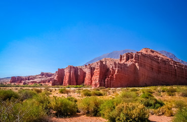 Giants of Quebrada de Cafayate