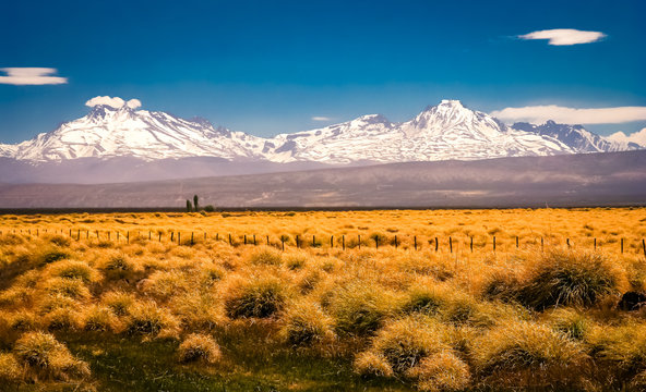 Patagonian Grassland And Andes