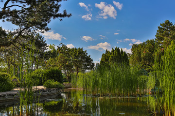 Fototapeta na wymiar Image of Japanese Garden located on Margit Island of Budapest, Hungary during sunny summer day
