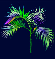 Fototapeta na wymiar Realistic Palm Tree
