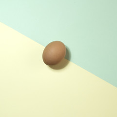 Egg on pastel colored backgrounds